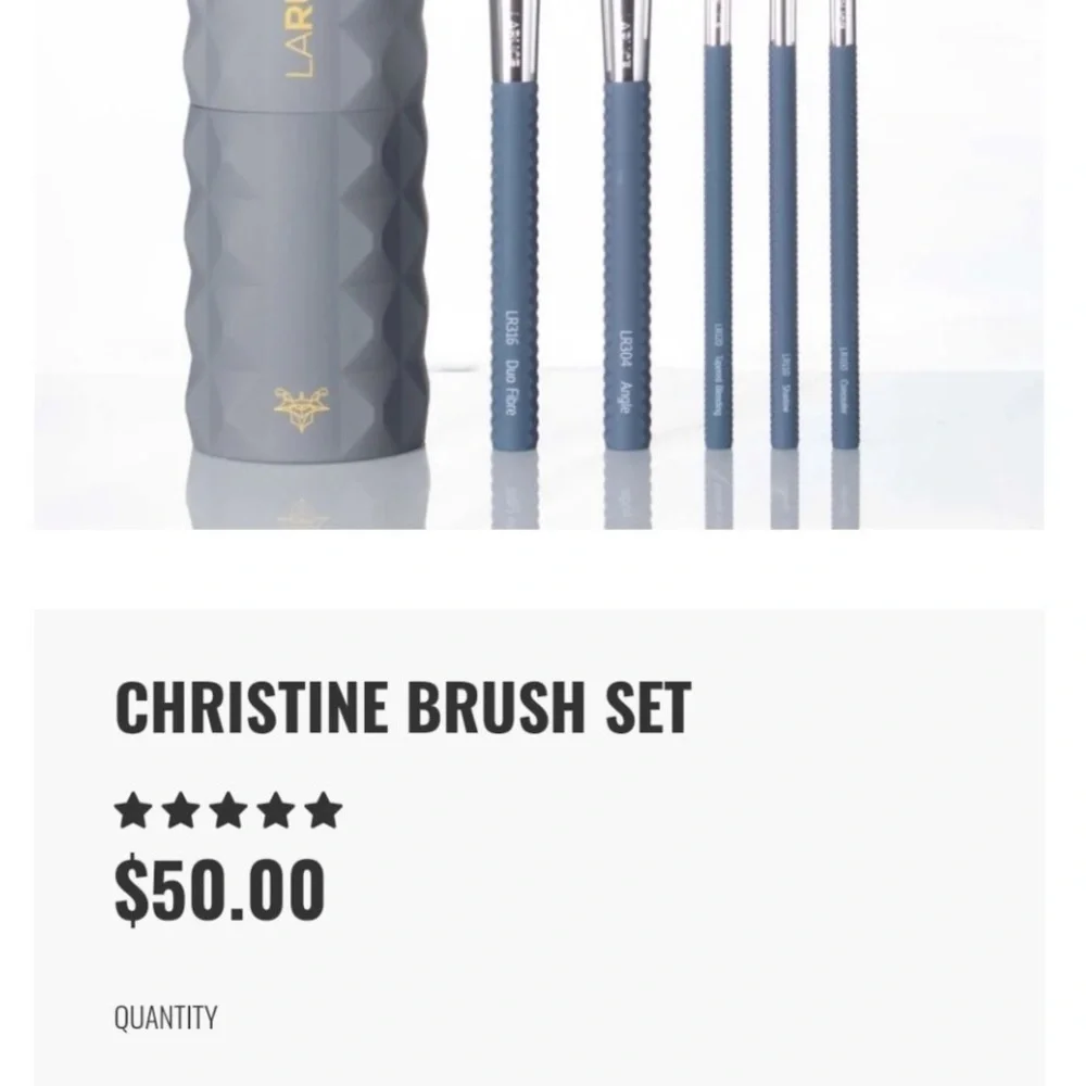 Laruce Beauty Christine 5 PC Makeup Cosmetic Brush Set and Hard Case Gray NEW